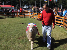 Con distintas actividades hoy comienzan las Jornadas Ganaderas