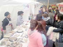 Cerca de dos mil visitantes en 1ª Expo Fosis en Puerto Natales