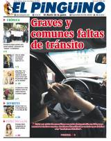Edición 04/02/2010