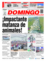 Edición 04/11/2018