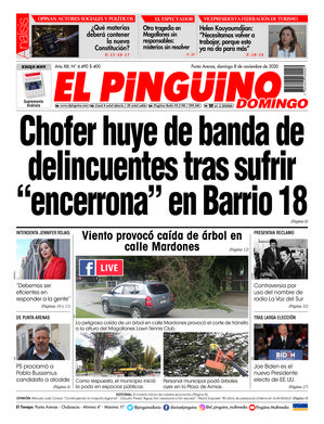 Edición 08/11/2020